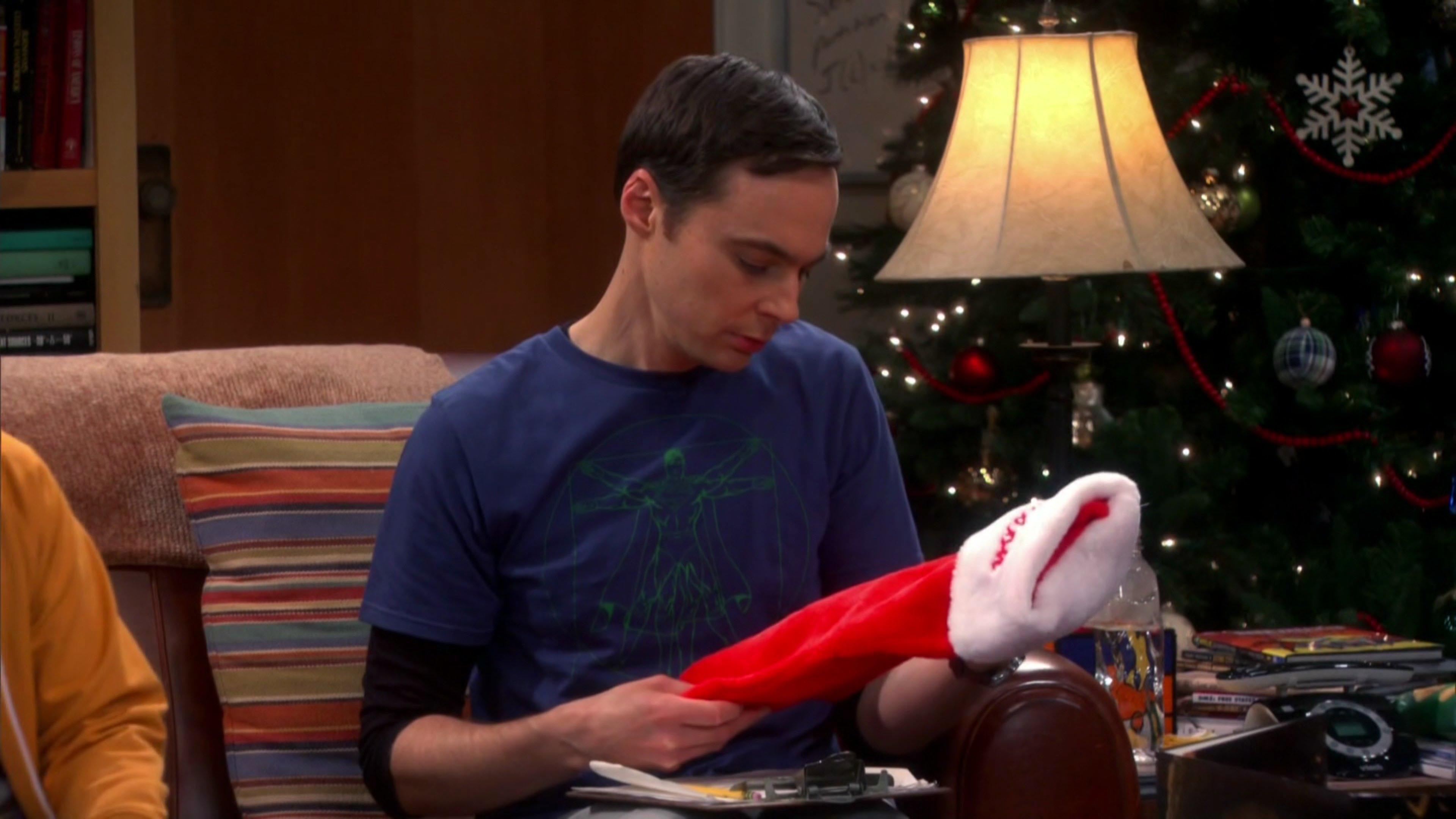Sheldon: Trees indoors, overuse of the words 