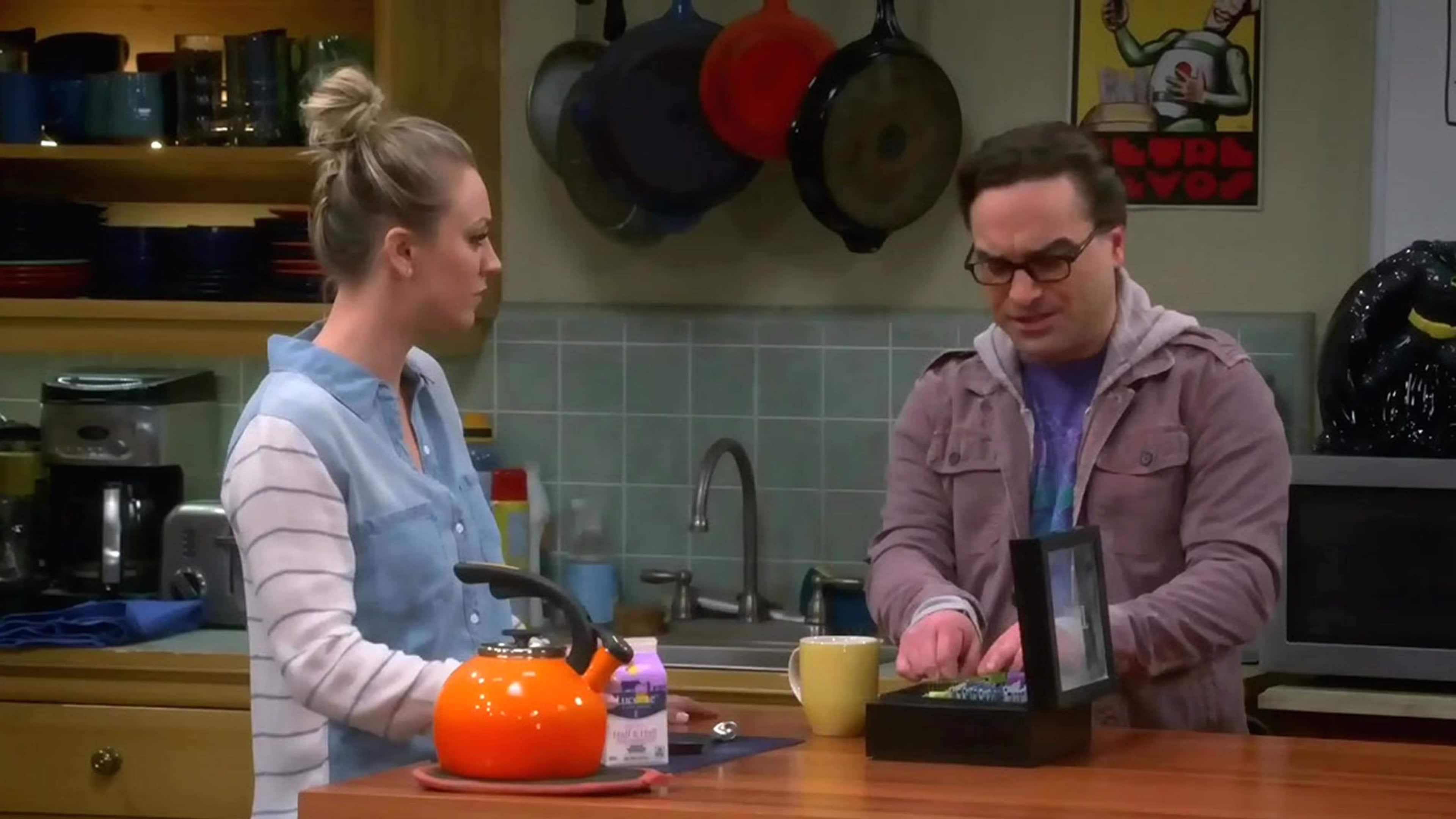 Penny: You mean a party bus with booze and music, not juice boxes and video games?  Leonard: Yes. And Howard